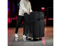 LD Systems DAVE 12 G4X BAG SET LD Systems DAVE 12 G4X BAG SET